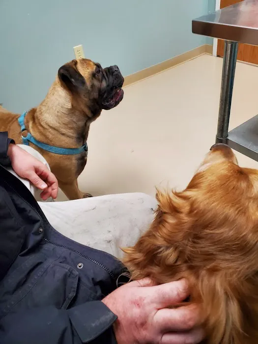 Waldo Animal Clinic 5
