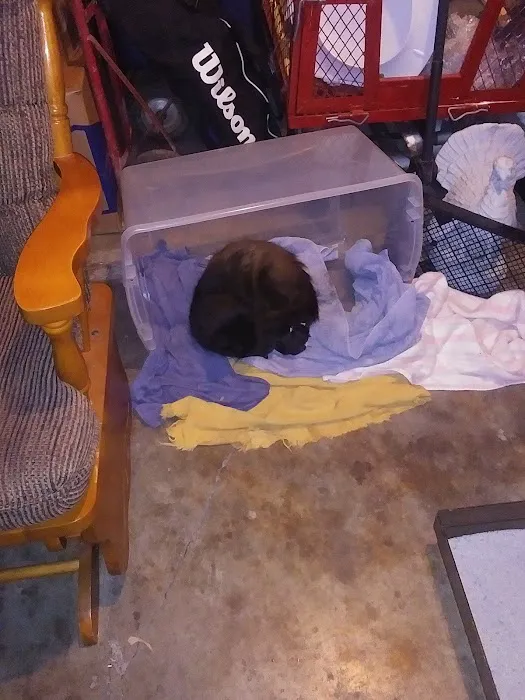 Richwood Animal Clinic 12