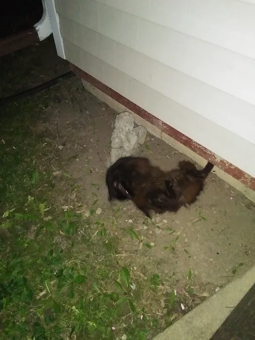 Richwood Animal Clinic 12