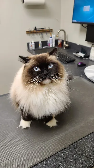 Animal Medical Center of Ontario 12