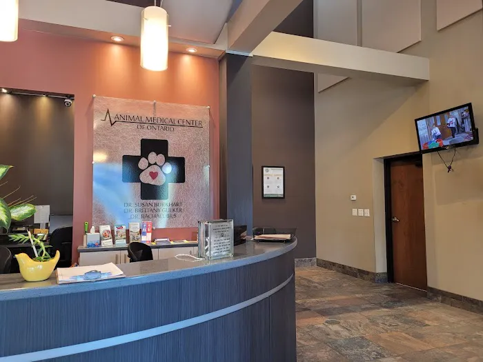 Animal Medical Center of Ontario 12