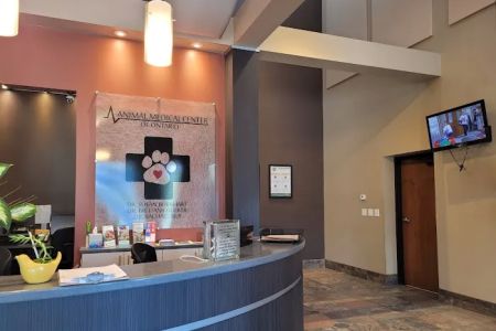 Animal Medical Center of Ontario