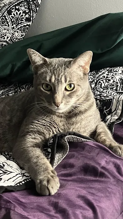 Animal Medical Center of Ontario 12