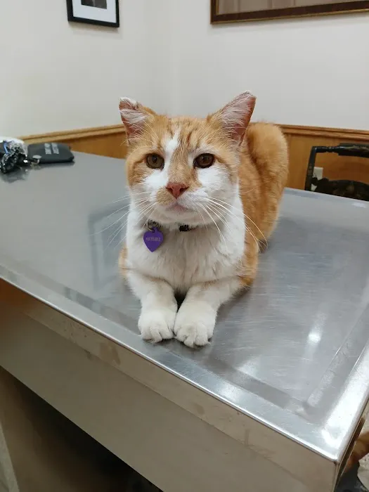 Dr Laurie J Hickox Mansfield Veterinary Hospital 12