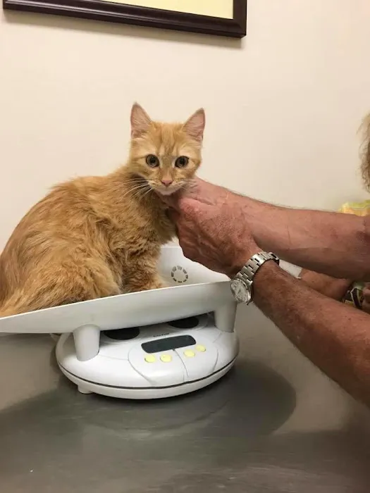 Dr Laurie J Hickox Mansfield Veterinary Hospital 12
