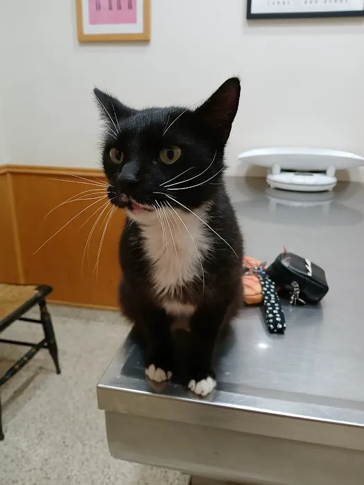 Dr Laurie J Hickox Mansfield Veterinary Hospital 12