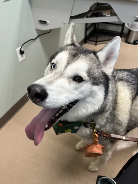 Appleseed Valley Veterinary Hospital 12