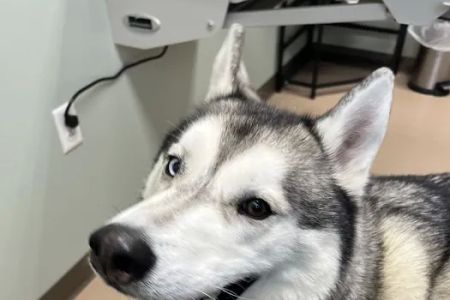 Appleseed Valley Veterinary Hospital