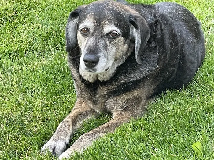 Appleseed Valley Veterinary Hospital 12