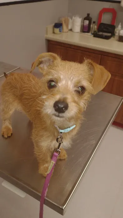 Appleseed Valley Veterinary Hospital 12