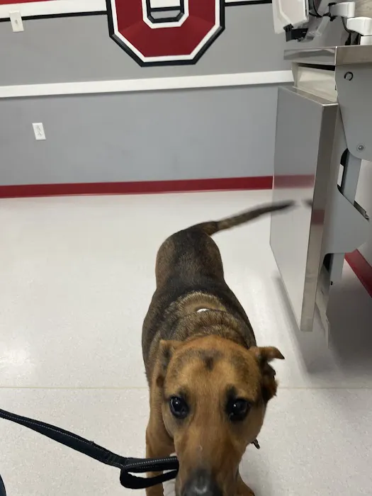 Appleseed Valley Veterinary Hospital 12