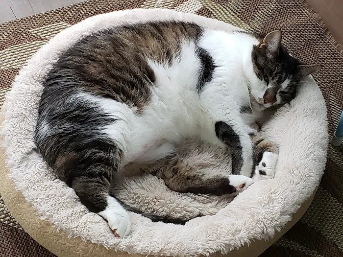 Appleseed Valley Veterinary Hospital 12