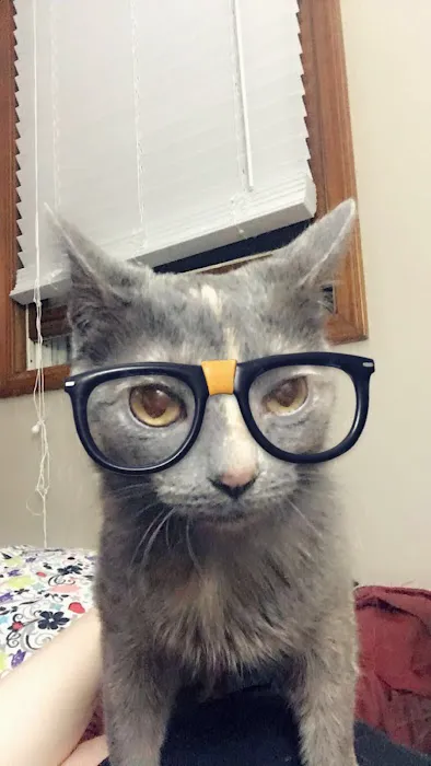 Whetstone Veterinary Hospital 5