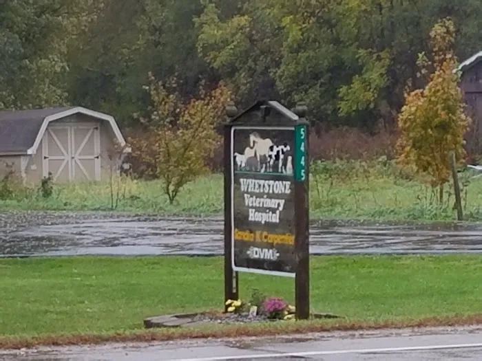 Whetstone Veterinary Hospital 9