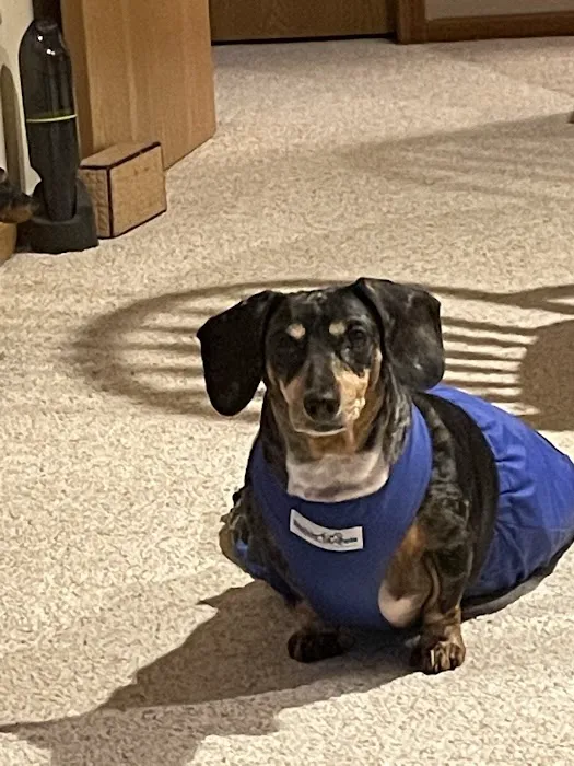 Willard Veterinary Clinic 2