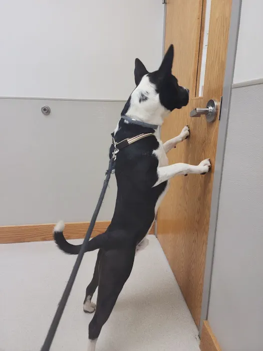 Willard Veterinary Clinic 9
