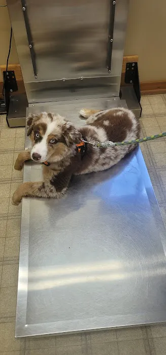 Cedarside Animal Hospital 1