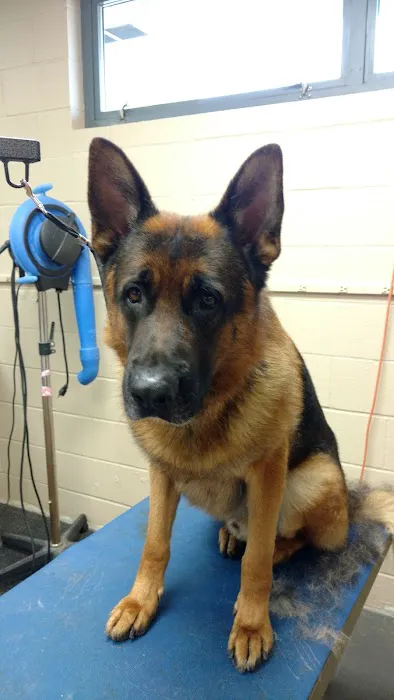 Amherst Animal Hospital 5