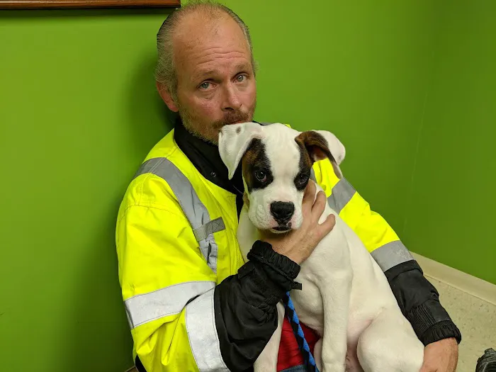 Pet Med Clinic 10