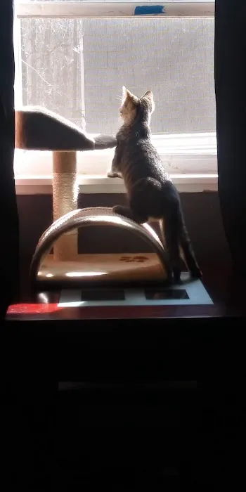Pet Med Clinic 7