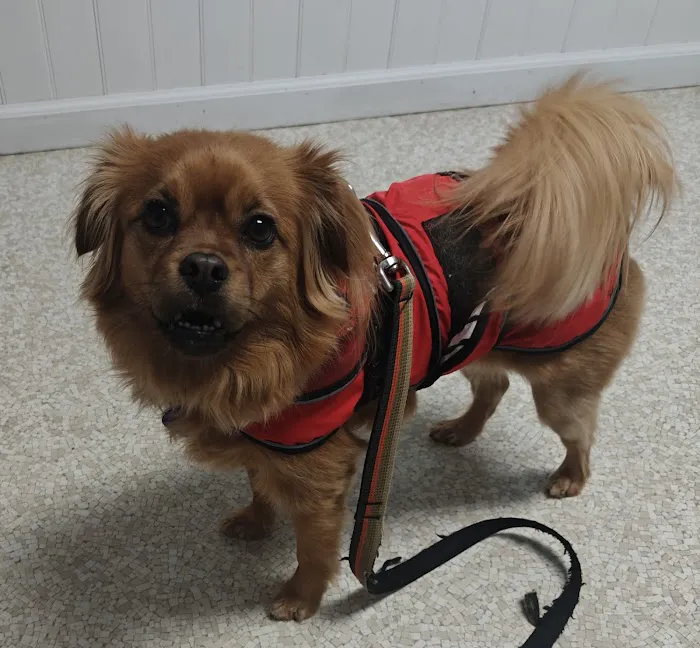 Murray Ridge Animal Clinic 5