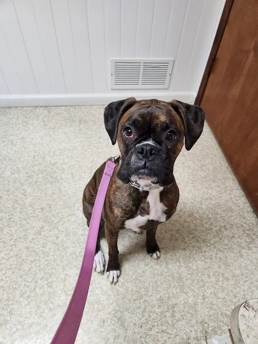 Murray Ridge Animal Clinic 4