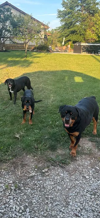 Murray Ridge Animal Clinic 2