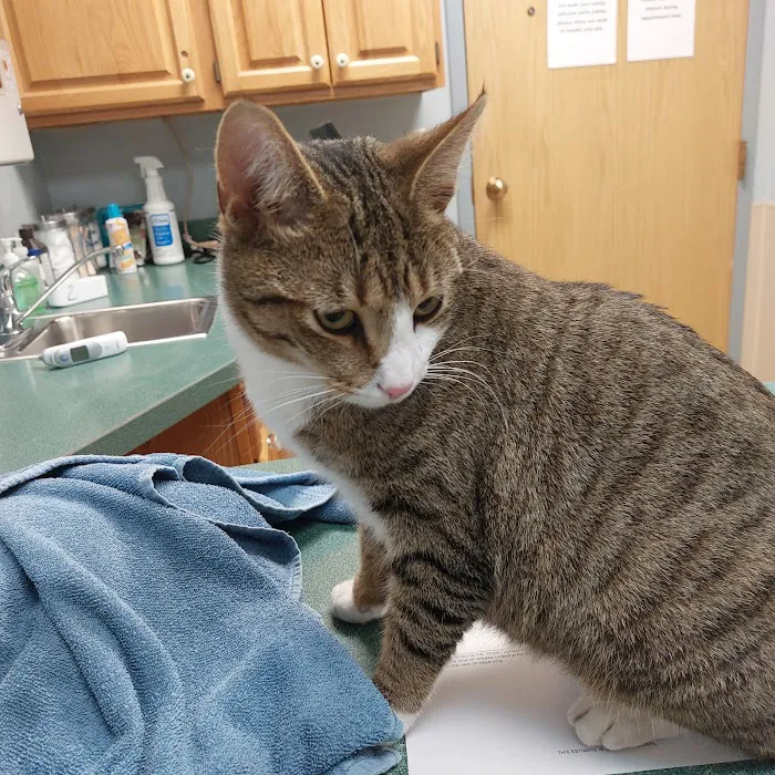 Douds Veterinary Hospital 3