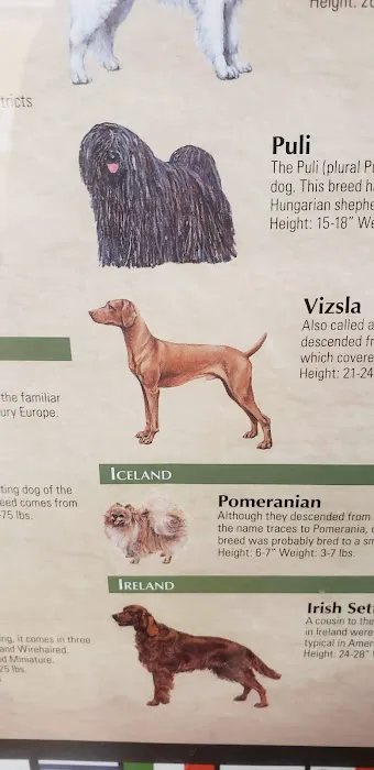 Douds Veterinary Hospital 5