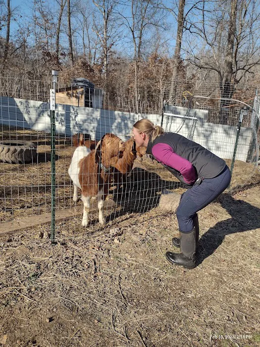 Custom Cattle Care, LLC 2