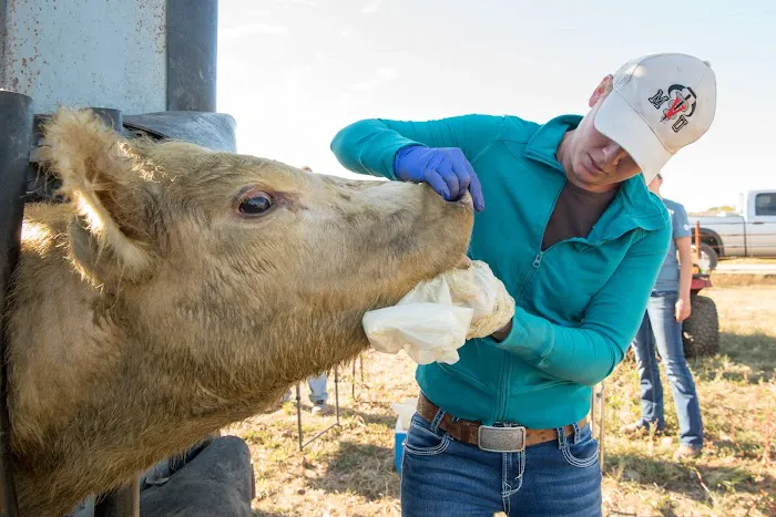 Custom Cattle Care, LLC 7