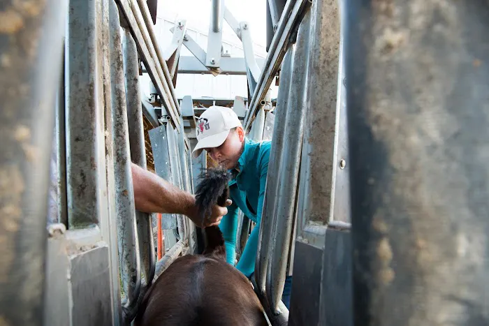 Custom Cattle Care, LLC 5
