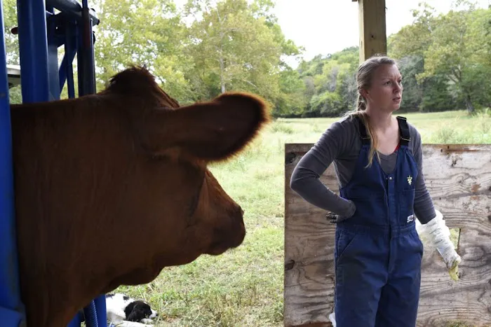 Custom Cattle Care, LLC 4