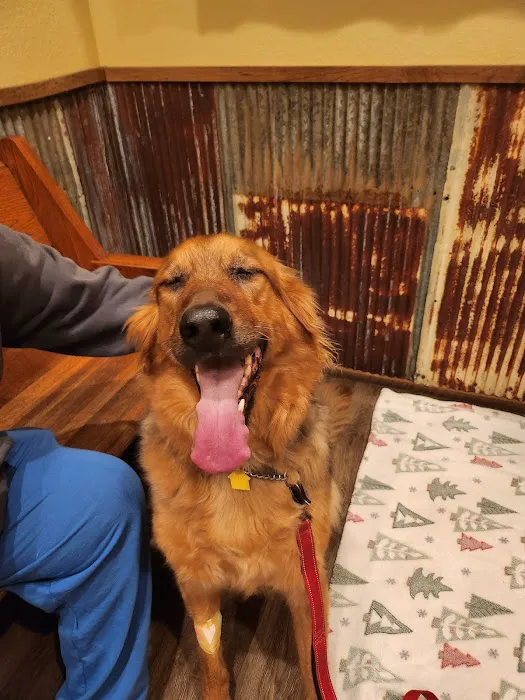 Lake Pet Hospital 4