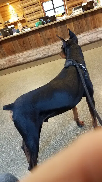 Lake Pet Hospital 3