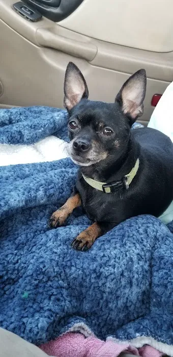 Lake Pet Hospital 10