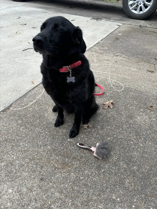 Osage Animal Hospital 3