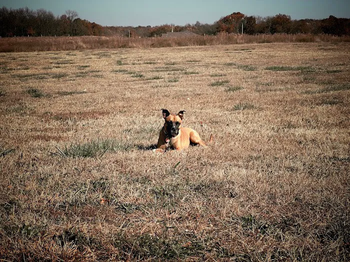 Osage Animal Hospital 4
