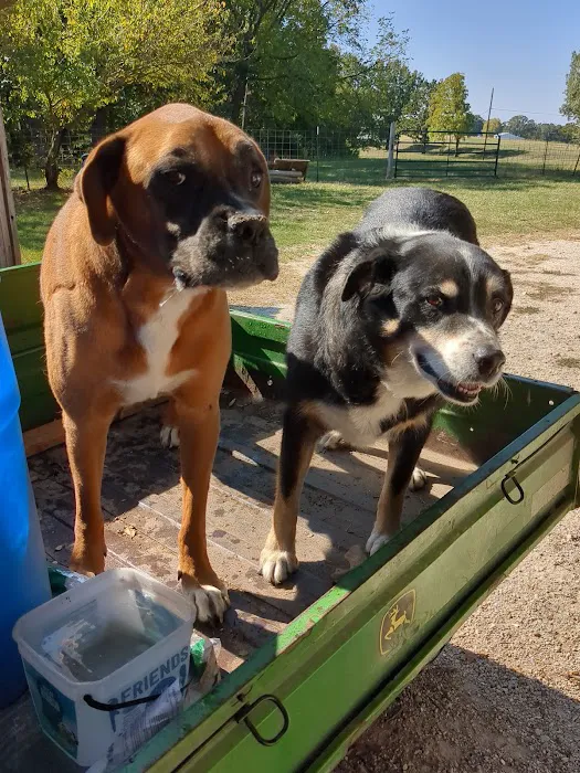 Osage Animal Hospital 9