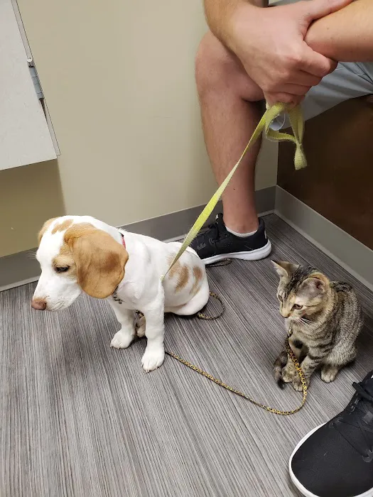 Highland Animal Hospital LLC 9