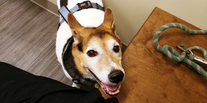 Highland Animal Hospital LLC 2