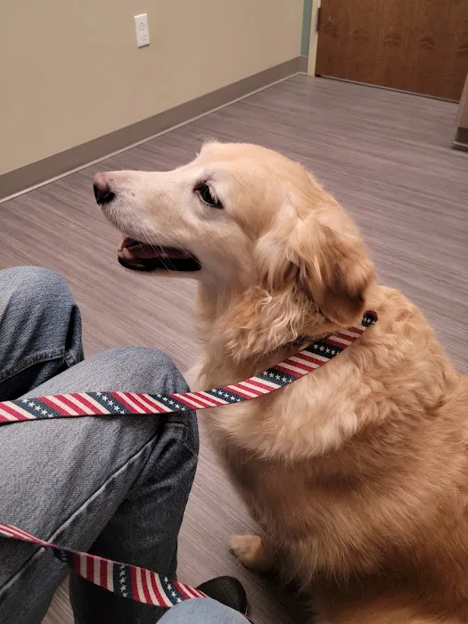 Highland Animal Hospital LLC 1