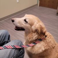 Highland Animal Hospital LLC ico