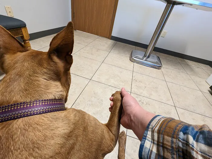 Formea Animal Hospital 9