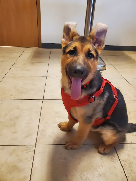 Formea Animal Hospital 6