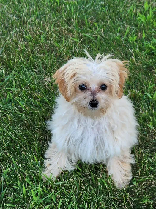 Daniel-Randall Veterinary Clinic 8