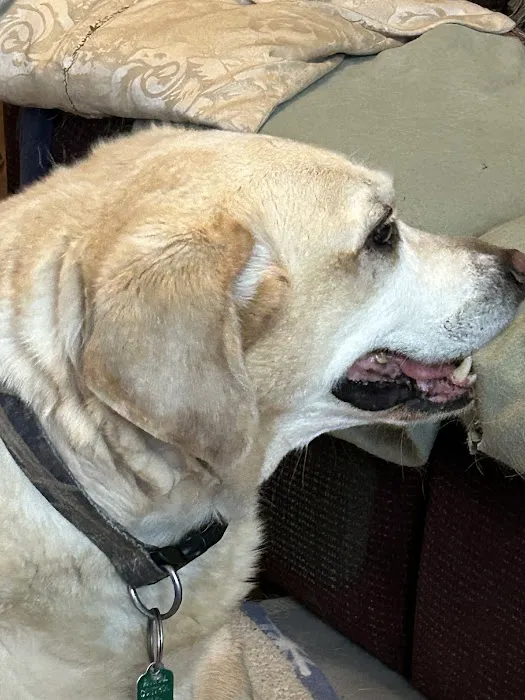Daniel-Randall Veterinary Clinic 5