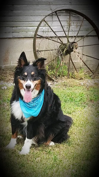 Eagleridge Veterinary Clinic 1