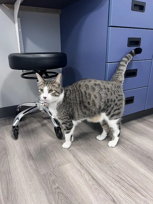 Centre Animal Hospital 12