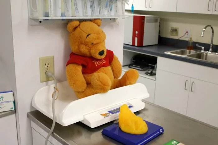 State College Veterinary Hospital 12